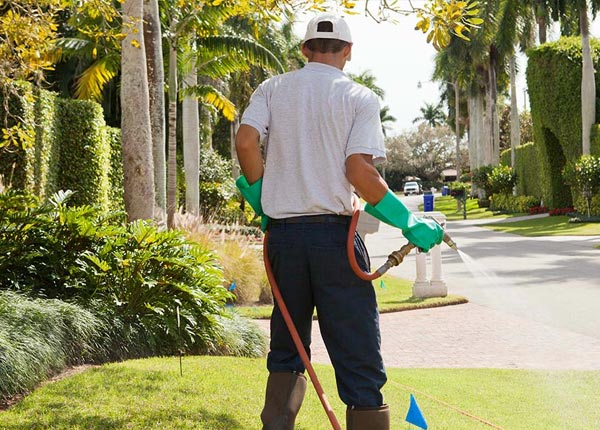 About Carle Place NY Pest Control